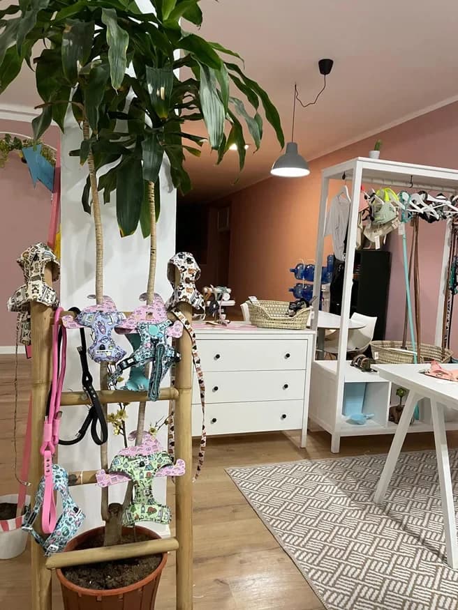 Rincón de la boutique con arneses, ropa y plantas