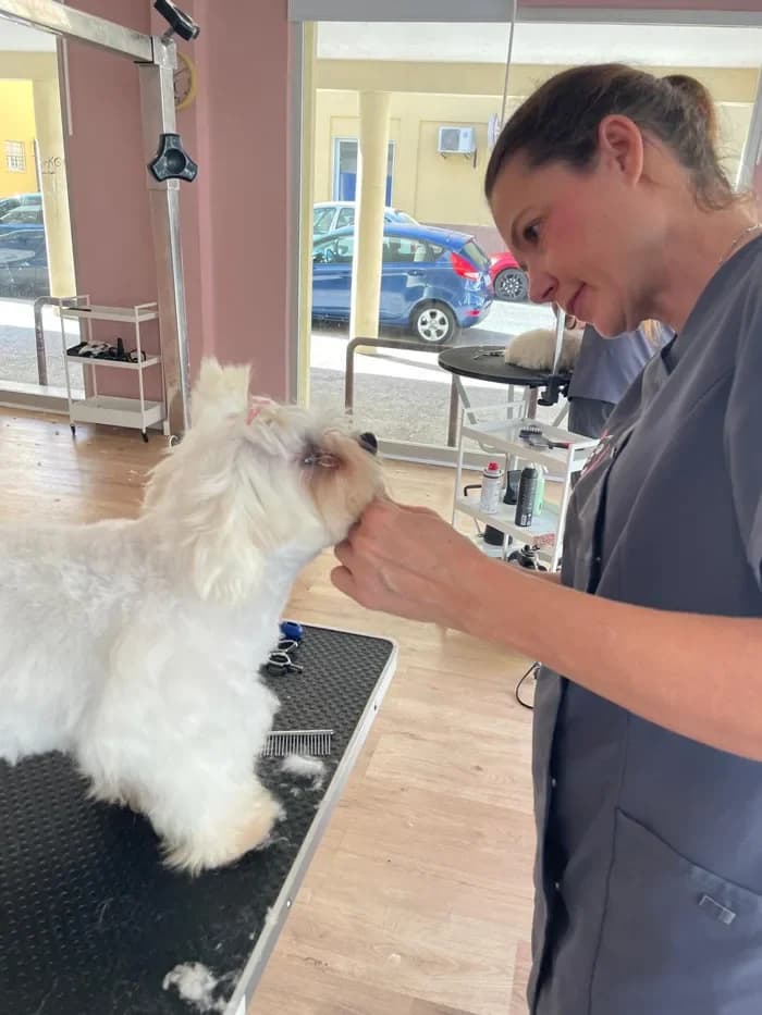 Formadora trabajando con un perro blanco en la mesa de peluquería